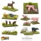 Small Farm Animals 