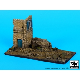 Black dog D72029 Ruined house italy base