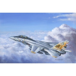 hobby boss 80366 F14A Tomcat