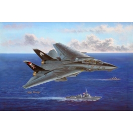 hobby boss 80367 F14B Tomcat