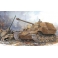 Dragon 7515 Chasseur de chars allemand Sd.Kfz.184 Elefant