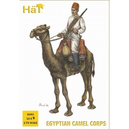 Hät 8193 Corps des dromadaires egyptiens