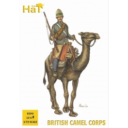 Hät 8194 Corps des dromadaires anglais