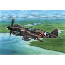 Special Hobby 72338 Curtiss P-40E 'Griffes et Dents'