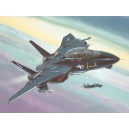 Revell 04029 Grumman F-14A Tomcat - Déco noire