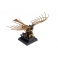 Italeri 3108 Machine volante (Ornithoptère)