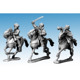 Artizan Designs NWF0124 Punjabi Cavalry Command.