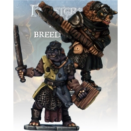 North Star FGV219 Gnoll Knight & Templar