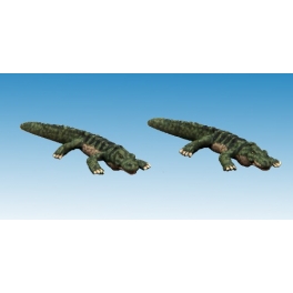 North Star AA16 Crocodiles nains (2)