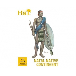 Hät 8192 Natal native contingent 1879