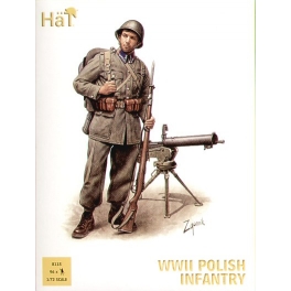 hat 8115  infanterie polonaise  39/45