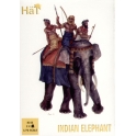 hat 8142 Eléphants indiens du roi porus