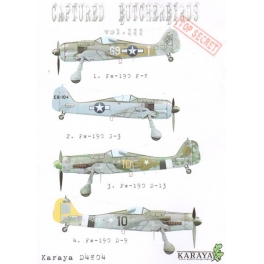 karaya 4804 FW 190 Capturés