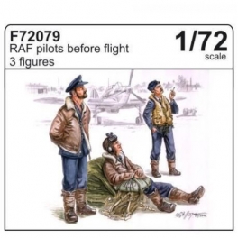 cmk 72079 Pilotes de la RAF 39/45