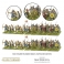 Saxon Starter Army